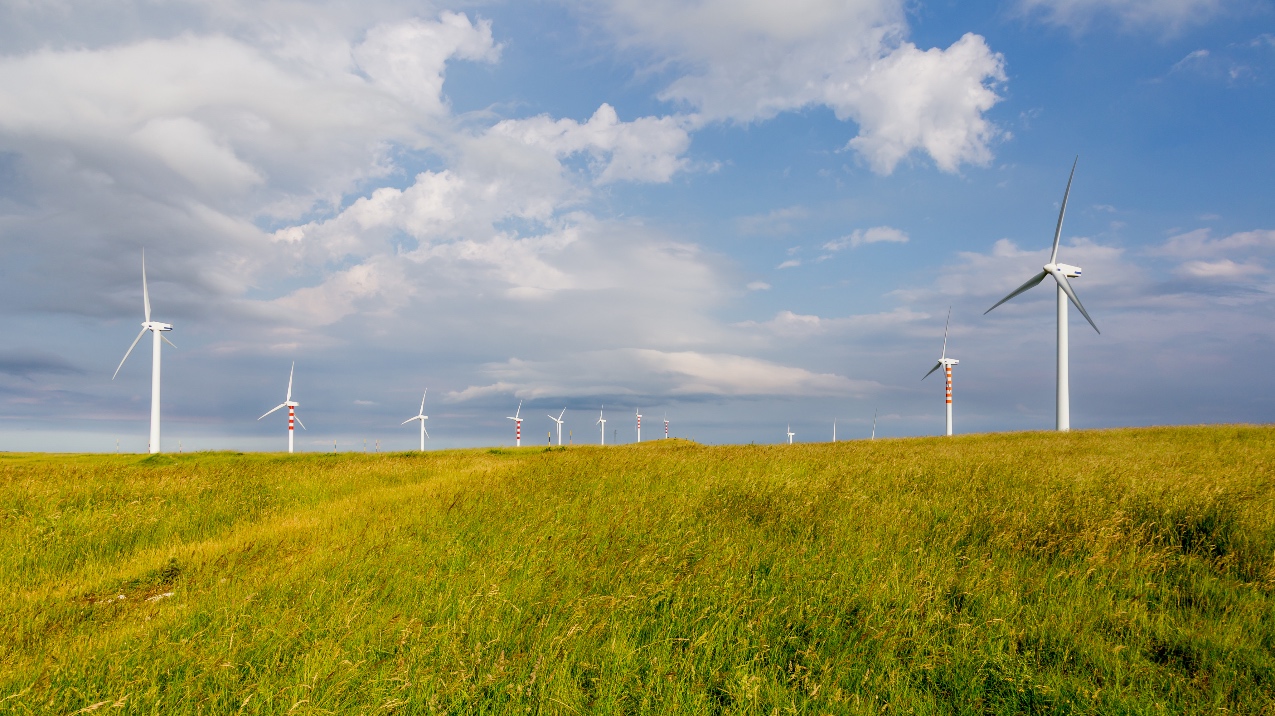 energia eolica