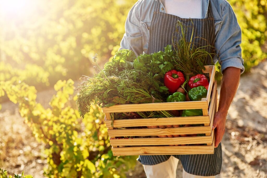 sostenibilità alimentare