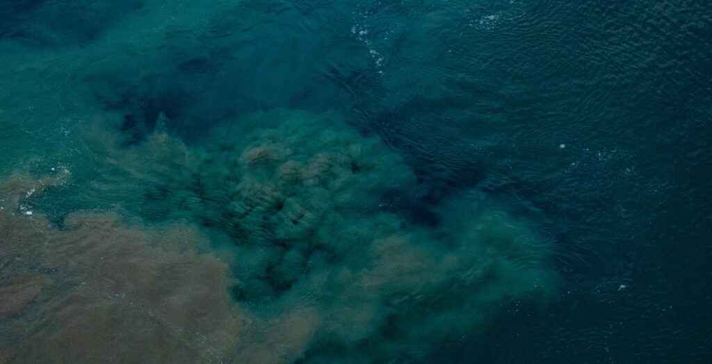 acidificazione degli oceani