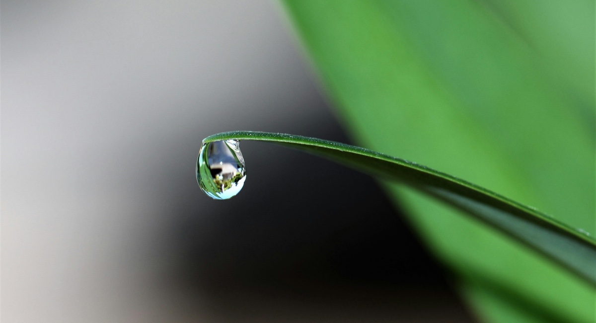 impronta idrica