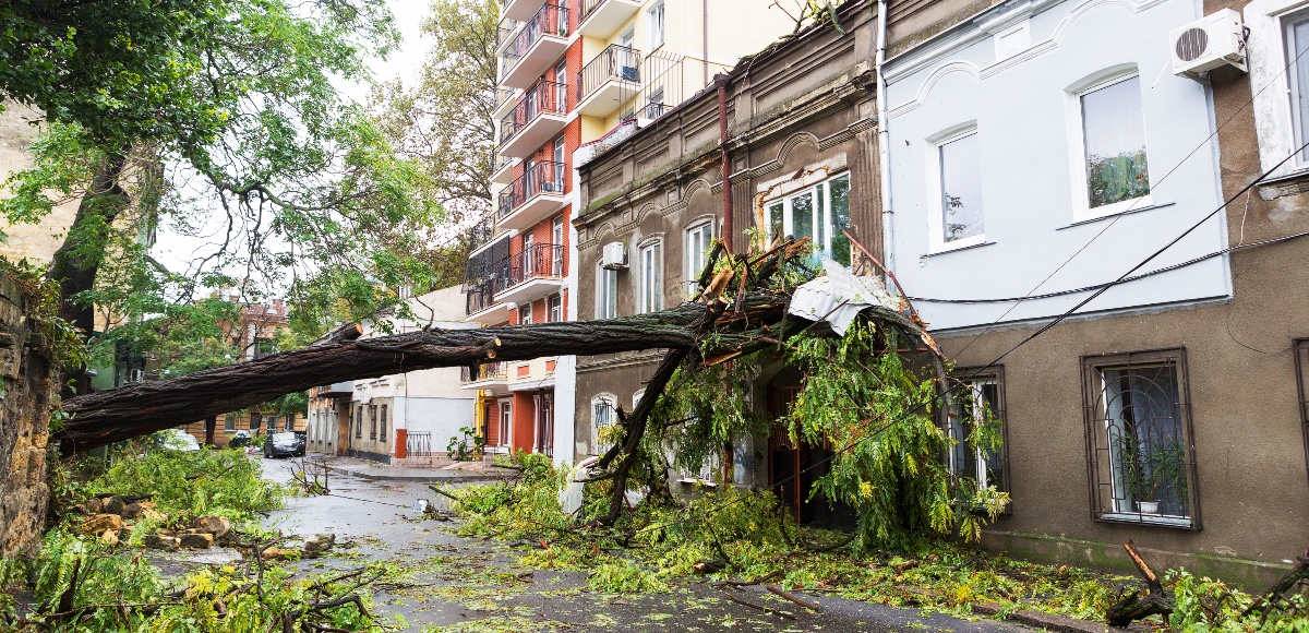climate change litigation