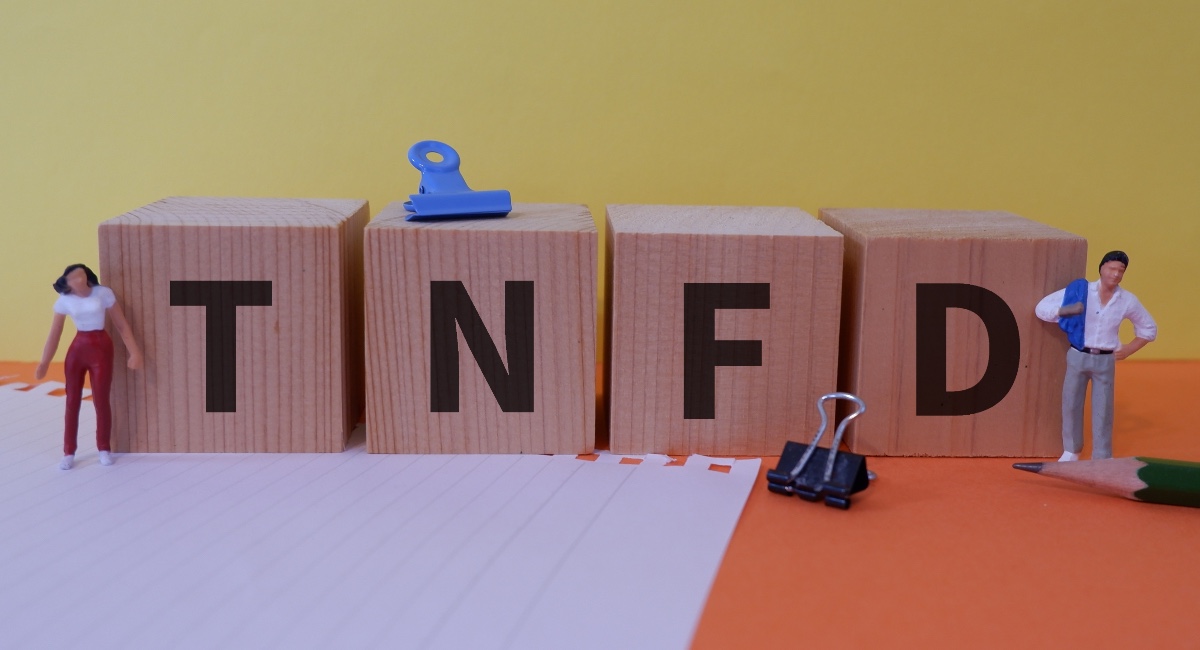 tnfd